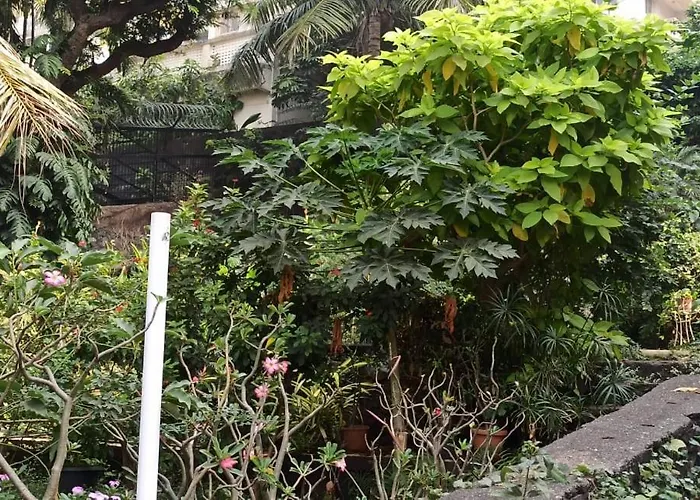 Seaview Room Bandra W Nr Taj Indian Women Only